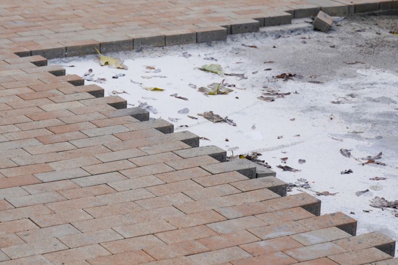 Damaged Paver Replacement