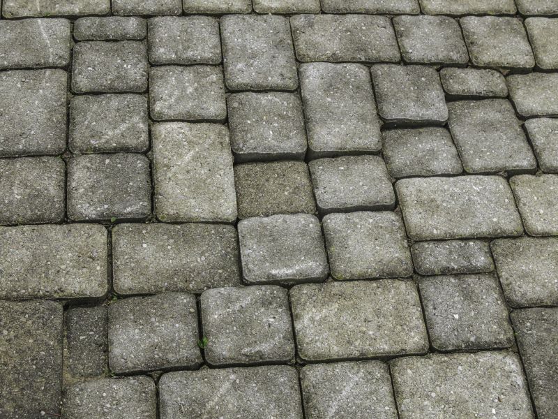 Professional Paver Repair Process